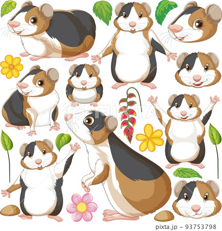 壁紙ハムスターイラストのイラスト素材