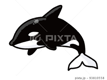 シャチのイラスト素材集 ピクスタ