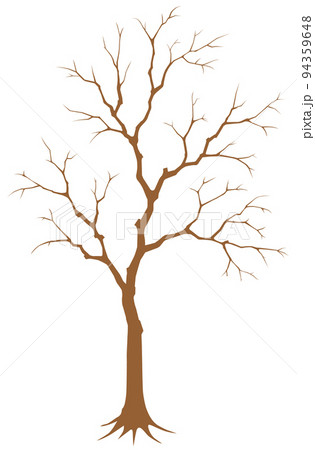 枯れ木 木 枝のイラスト素材 - PIXTA