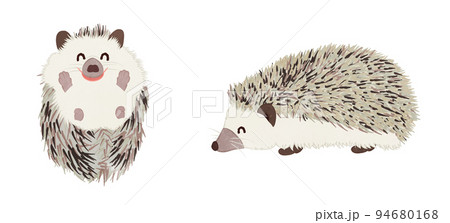 針ネズミのイラスト素材