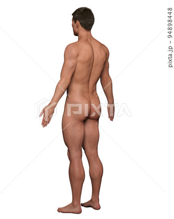 全裸　直立　横 直立 全身の写真素材 - PIXTA
