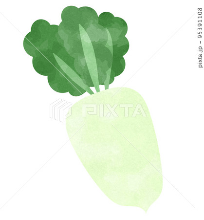 大根のイラスト素材集 ピクスタ