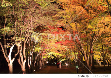 紅葉 ライトアップ 函館 香雪園の写真素材