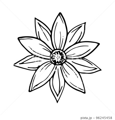 花 植物 花びら 形のイラスト素材 - PIXTA