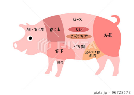 豚足のイラスト素材