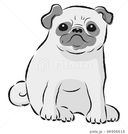 犬 パグ シンプル 白黒の写真素材 犬 パグ シンプル 白黒の写真素材