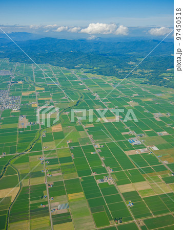 Fly pan and fly back - Stock Illustration [17537999] - PIXTA