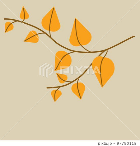 Drawing of ivy leaves Royalty Free Vector Image