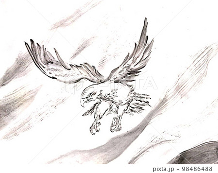 鳥 鷹 猛禽類 水墨画のイラスト素材 - PIXTA