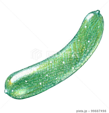 サモエスキー] きゅうり 食べよ キュウリ 胡瓜 野菜 果物 筆絵