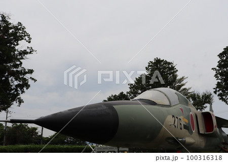 航空自衛隊奈良基地若草会 痒かっ