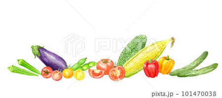 ゴーヤ 野菜 水彩 水彩画のイラスト素材 - PIXTA