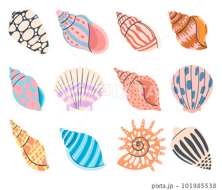 7,336+ Shell/Shellfish/Clam Vectors: Royalty-Free Stock Vectors - PIXTA