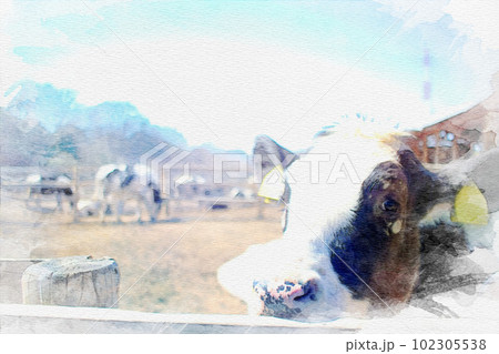 水彩 牧場の写真素材 - PIXTA