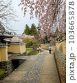 東大寺 二月堂裏参道の桜 2023年3月31日の写真素材 [103665880] - PIXTA