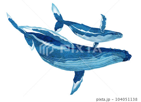 クジラ貼り絵のイラスト素材 - PIXTA