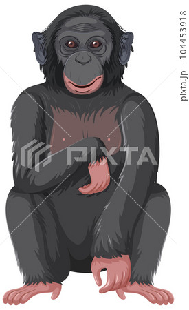 Imahie Shrine Koma Monkey (God Monkey) Agata - Stock Photo [91821551] -  PIXTA