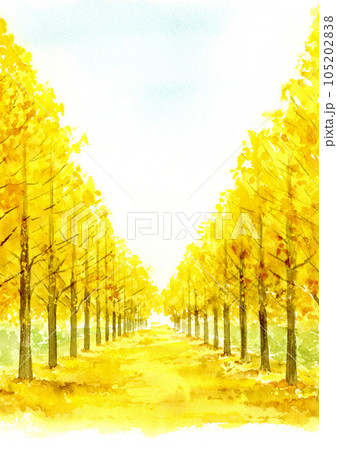 1055☆水彩画原画 風景画 ［銀杏並木紅葉］ 1055☆水彩画原画 風景画