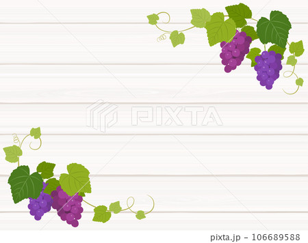 葡萄畑のイラスト素材 - PIXTA