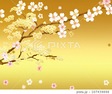 花 桜 金屏風 植物 和 春 日本的の写真素材 - PIXTA
