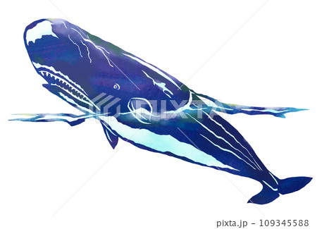 クジラ貼り絵のイラスト素材 - PIXTA