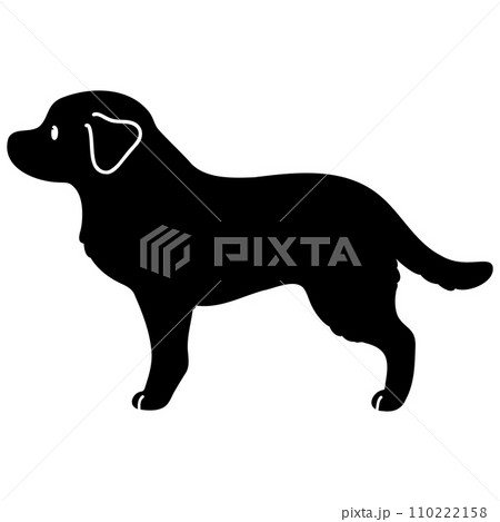 犬 ゴールデンレトリバー シルエット レトリバーのイラスト素材 - PIXTA