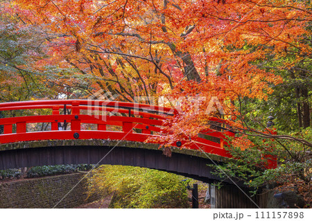 赤い太鼓橋の写真素材 - PIXTA