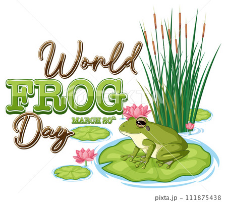 Realistic frog illustration - Stock Illustration [77674288] - PIXTA