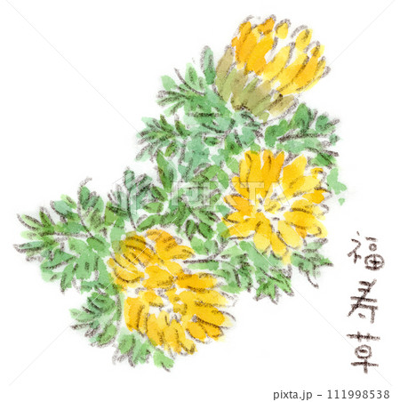 水彩画    福寿草 水彩_手描き_福寿草イラスト - No: 23354931｜無料イラスト
