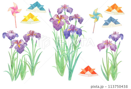 アヤメ 菖蒲 花 水彩画の写真素材 - PIXTA