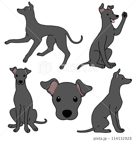 イタリアングレーハウンド クレヨン画 肖像画 犬 イタグレ 手描き インテリア イタリアングレーハウンド/イタグレ犬とビーチのスケッチ No.3