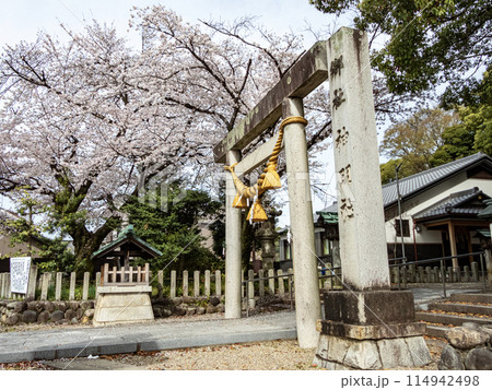 桜　伊勢しめ縄 神棚・神具専門店 伊勢宮 / お伊勢さんのお正月