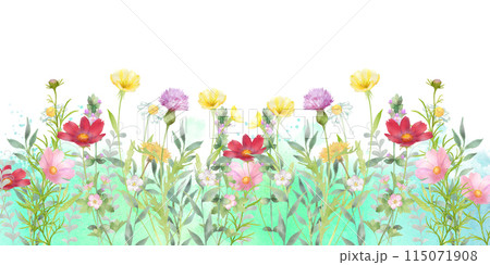 アザミ 花 ピンク色 桃色の写真素材 - PIXTA