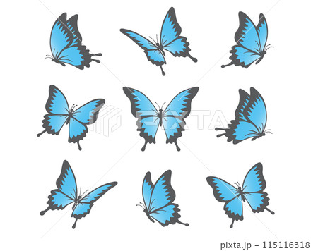 バタフライ 綺麗 蝶 イラストのイラスト素材 - PIXTA
