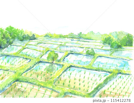 受注制作します 水彩画原画 田植の季節 - ショップ 松下勝明