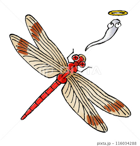 トンボ川蜻蛉のイラスト素材 - PIXTA