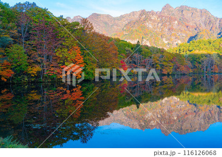 鏡池錦秋 sq241101_eiden_momiji.jpg