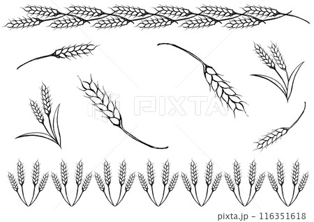 麦 イラスト 穂 小麦 麦 フレームのイラスト素材 - PIXTA