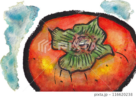 柿 かき カキ 絵手紙のイラスト素材 - PIXTA