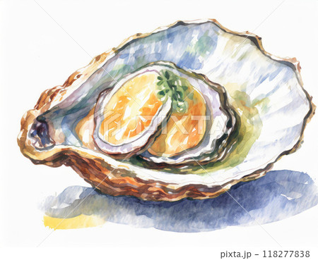 開いた貝のイラスト素材 - PIXTA