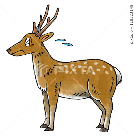 ニホンジカのイラスト素材 - PIXTA