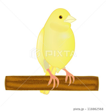 カナリアイラストオーダー カナリアイラストオーダー KANARIA🐤illustrator