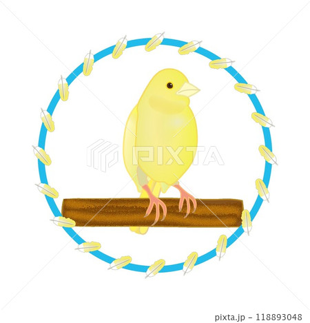 鳥 カナリア かわいい イラストのイラスト素材 - PIXTA