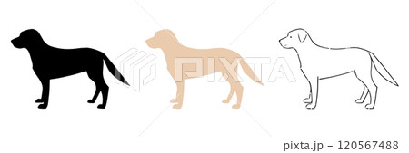 犬 ゴールデンレトリバー シルエット レトリバーのイラスト素材 - PIXTA
