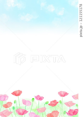 白いポピーのイラスト素材 - PIXTA