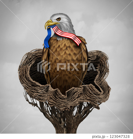 白頭鷲のイラスト素材 - PIXTA