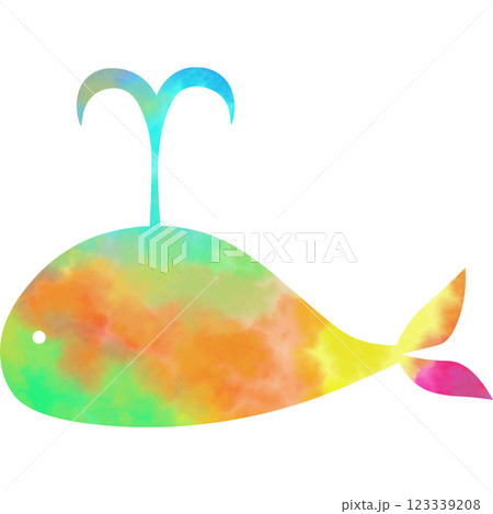 かわいいさかな　絵画 Amazon.co.jp: 絵画 海 イルカ ウミガメ 「海の歌」 額入り 額