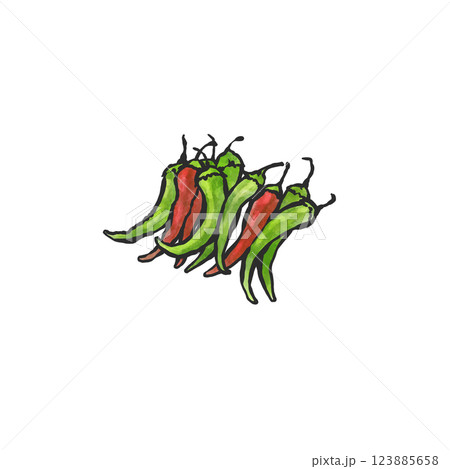 絵画 とうがらし 青唐辛子のイラスト素材 - PIXTA