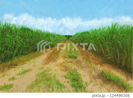 さとうきび 畑 空 雲のイラスト素材 - PIXTA
