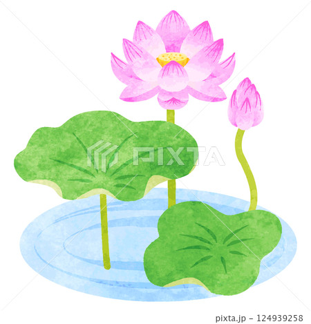 水辺 花のイラスト素材 - PIXTA